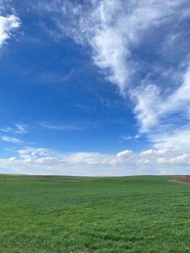 عکس ننه کران