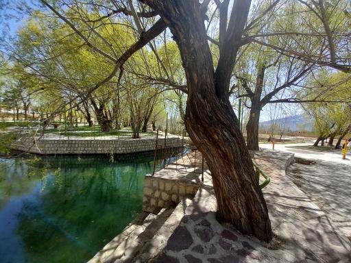 عکس چشمه گندمان