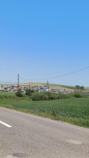 عکس ننه کران