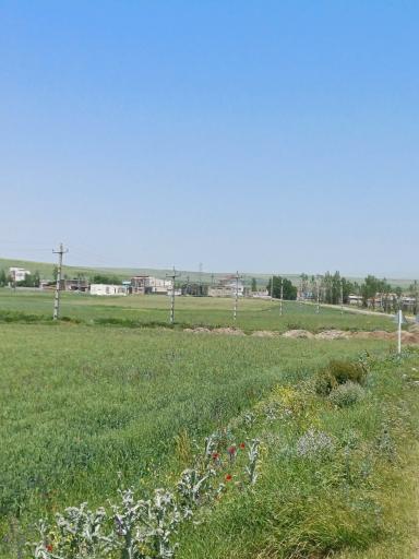 عکس ننه کران