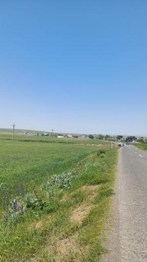 عکس ننه کران