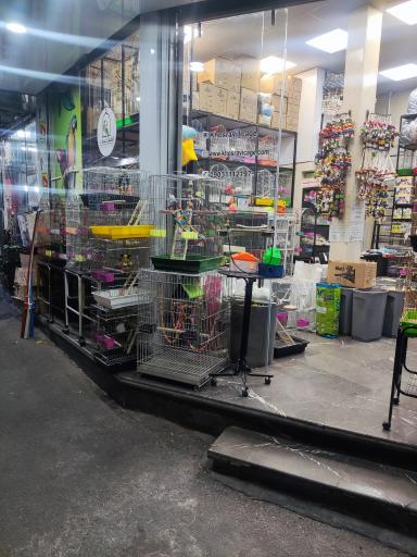 عکس فروشگاه قفس خسروی