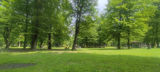 عکس ورودی پارک جنگلی سی سنگان 