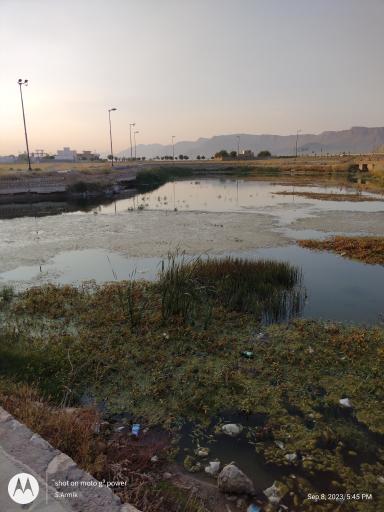 عکس چشمه گندمان