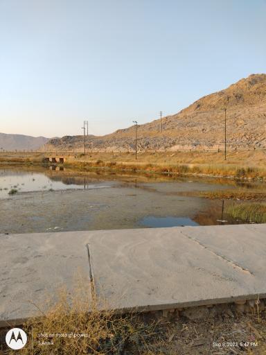 عکس چشمه گندمان