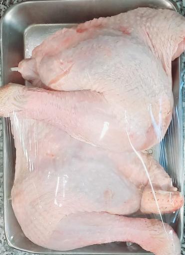 عکس پروتئینی  سپید