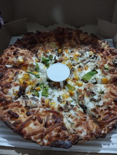 عکس پیتزا و ساندویچ سادات