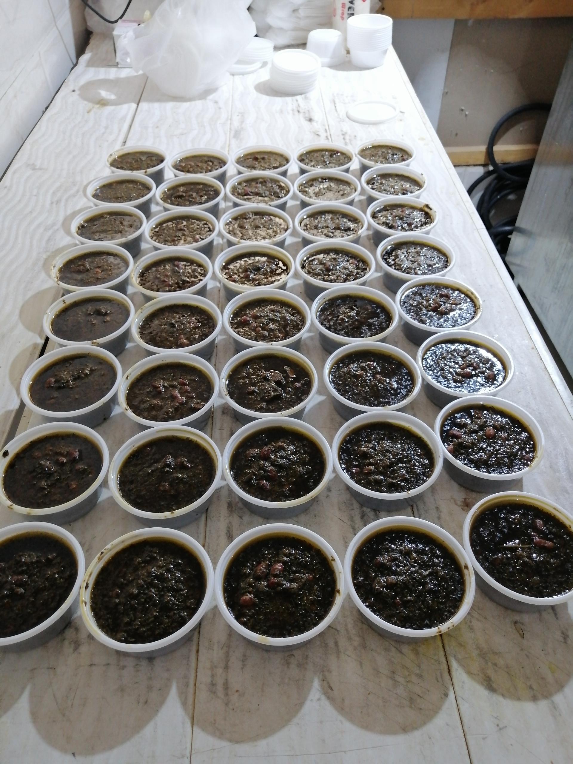 عکس آشپزخانه آقای غذا