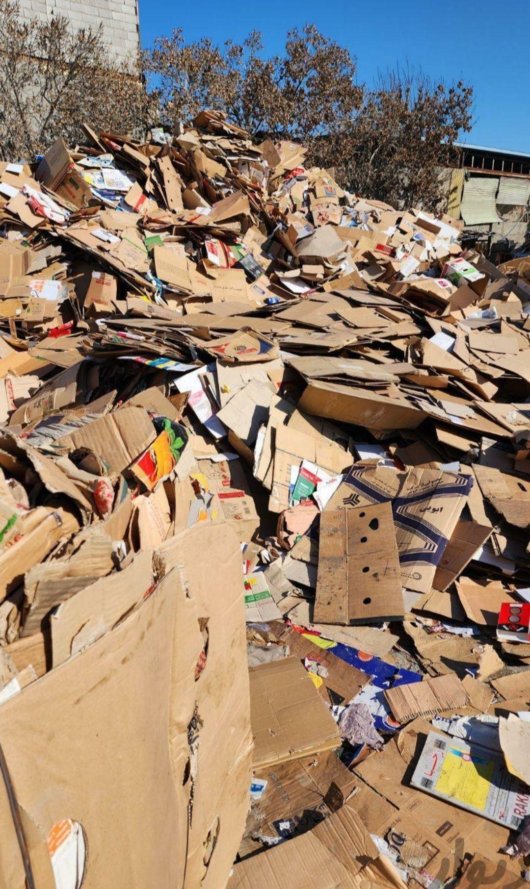 عکس ضایعات مسیب