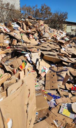 عکس ضایعات مسیب