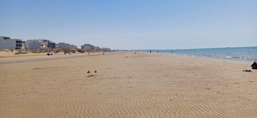 عکس ساحل خلیج فارس