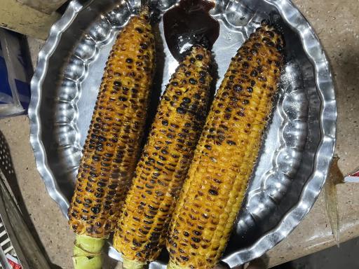 عکس بلال خوران