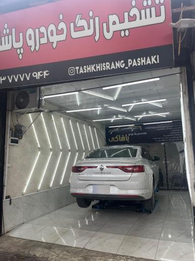 عکس تشخیص رنگ خودرو پاشاکی