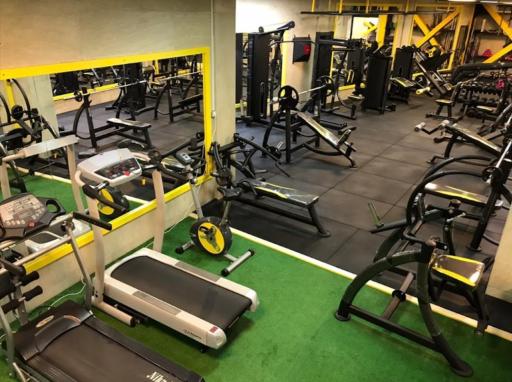 عکس باشگاه نوین تن (شعبه ۱)