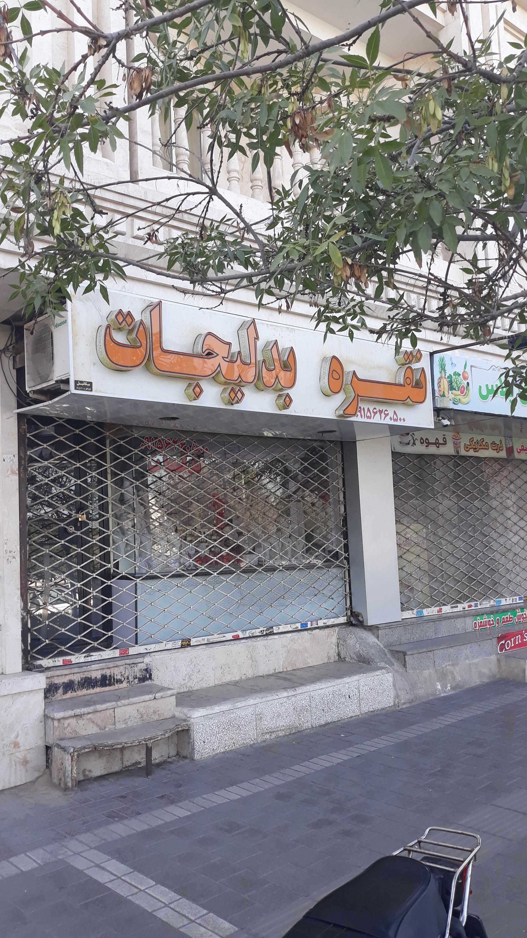 عکس نقره و بدلیجات