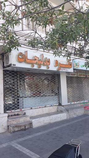 عکس نقره و بدلیجات