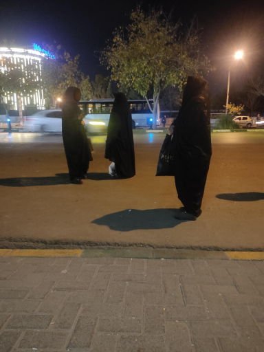  انتهای شاهد