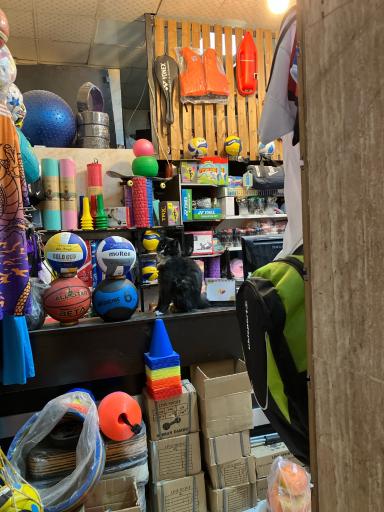 عکس فروشگاه ورزشی ات لت