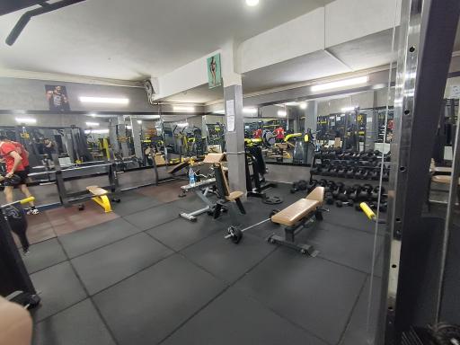 عکس باشگاه پرورش اندام ساندو