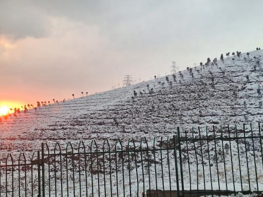 بام سعادت آباد