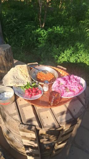عکس باغ مهربان و آرمین 
