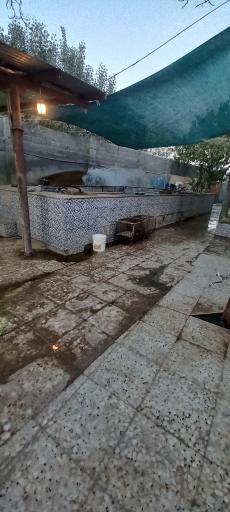 عکس ماهی قزل برتر
