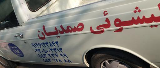 عکس قالیشویی صمدیان