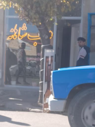 عکس درب شاهانه