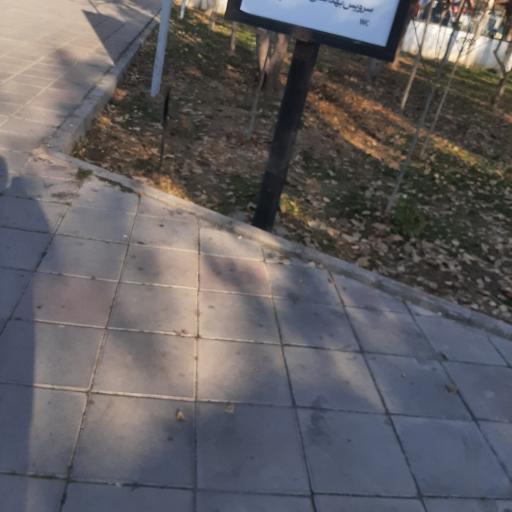 عکس باغ نارنج