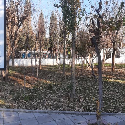 عکس باغ نارنج