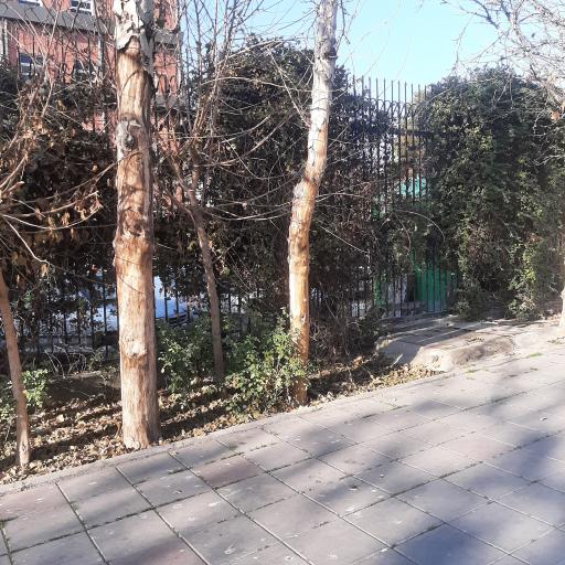 عکس باغ نارنج