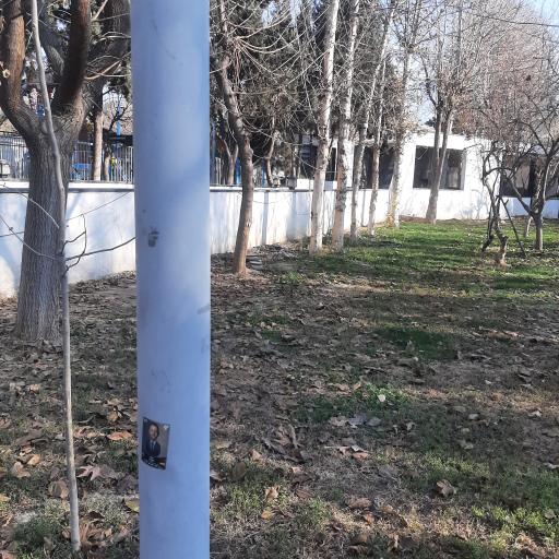 عکس باغ نارنج