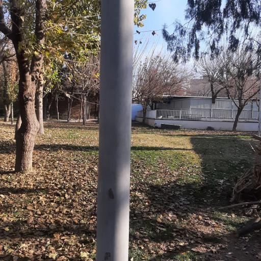 عکس باغ نارنج