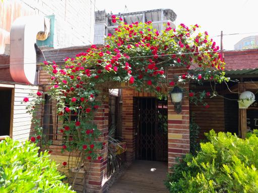 عکس کافه جین