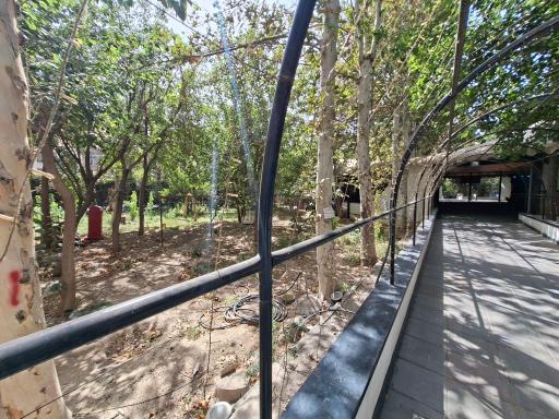 عکس باغ نارنج