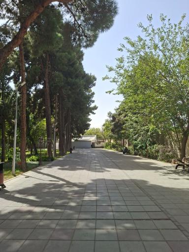 عکس باغ نارنج