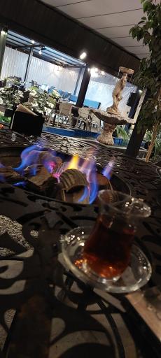 عکس باغ نارنج