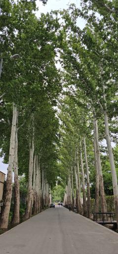 عکس پارک ملی ایران کوچک