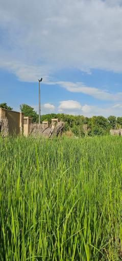 عکس پارک ملی ایران کوچک