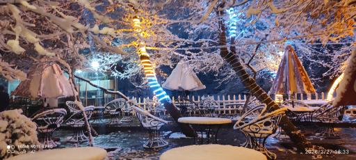 عکس کافه دورهمی