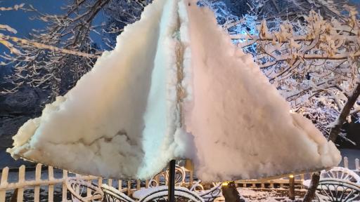 عکس کافه دورهمی