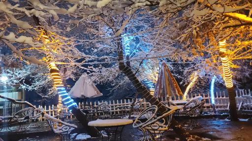 عکس کافه دورهمی