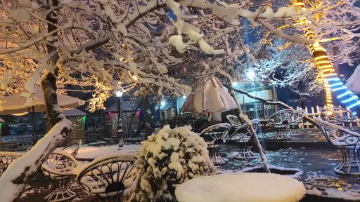 عکس کافه دورهمی