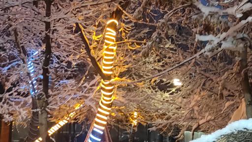 عکس کافه دورهمی