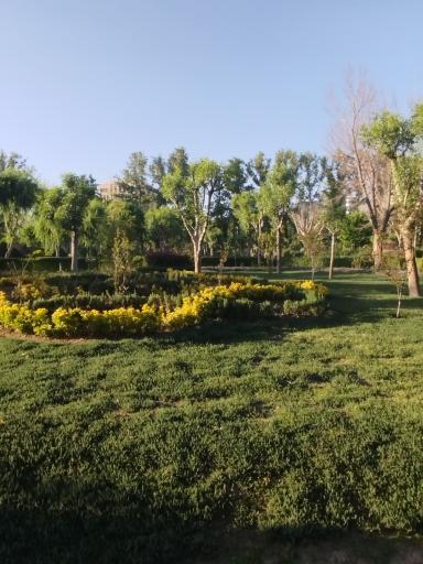 عکس پارک ملی ایران کوچک