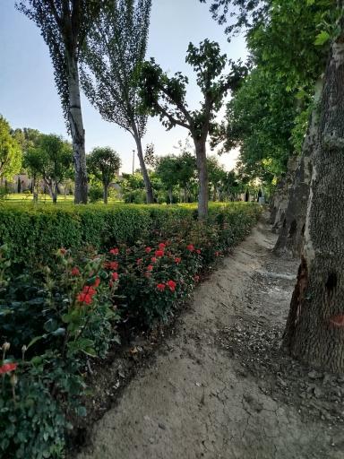 عکس پارک ملی ایران کوچک