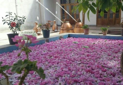 عکس شهرداری کامو و چوگان