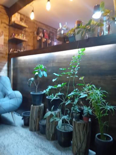 عکس قهوه فروشی خیابان هفتادو یکم 