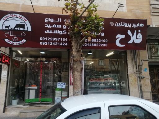 هایپر پروتئین فلاح 