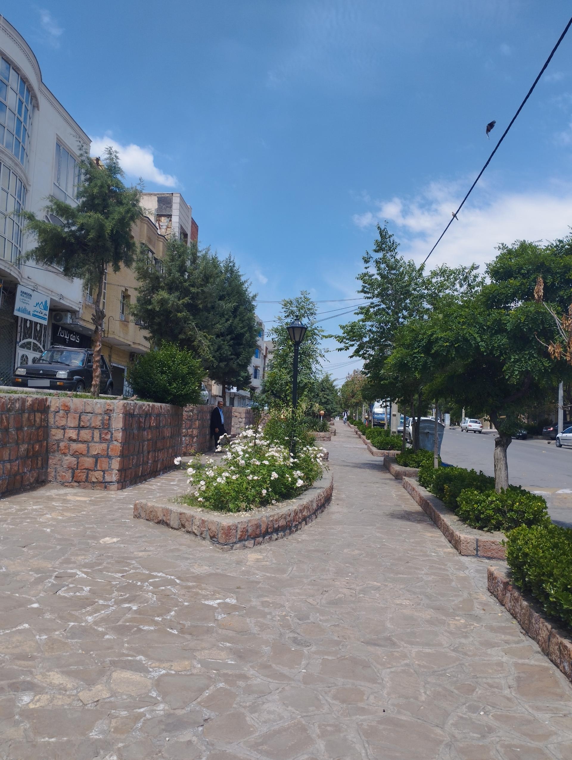 عکس پارک پرتو